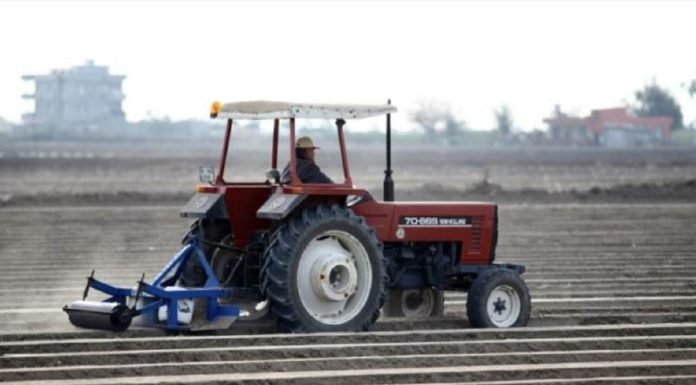 Çukurova’da Erkenci Karpuz Toprakla Buluştu