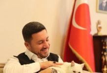 Nevşehir Belediye Başkanı Arı, Bir Ayağı Olmayan Sokak Kedisini Sahiplendi