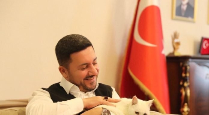 Nevşehir Belediye Başkanı Arı, Bir Ayağı Olmayan Sokak Kedisini Sahiplendi