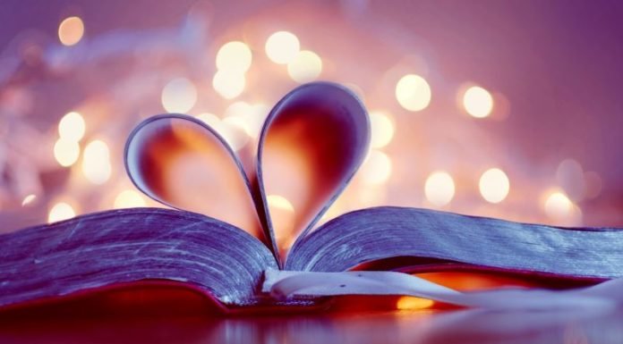 Sevgililer Günü Sevgililer Gunu