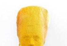 Slovak Sanatçı 60 Bin Bal Arısıyla Nefertiti Büstü Yaptı Slovak Sanatçı 60 Bin Bal Arısıyla Nefertiti Büstü Yaptı