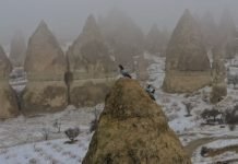 Kapadokya’da Kar Ve Sis Turistleri Büyüledi