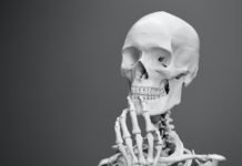 Veganlar Ve Kemik Sağlığı