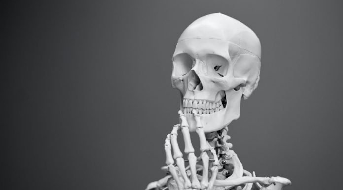 Veganlar Ve Kemik Sağlığı