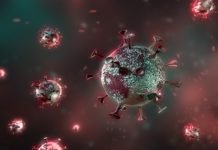 İngiltere’de Görülen Yeni Tip Virüse SARS-CoV-2 VUI 202012/01 Adı Verildi İngiltere’de Görülen Yeni Tip Virüse SARS-CoV-2 VUI 202012/01 Adı Verildi