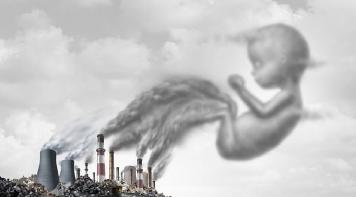 Hava Kirliliği Kısırlığa Neden Oluyor