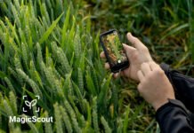 MagicScout ile Saniyeler İçinde Hastalık ve Yabancı Ot Tespiti MagicScout ile Saniyeler İcinde Hastalık ve Yabanci Ot Tespiti