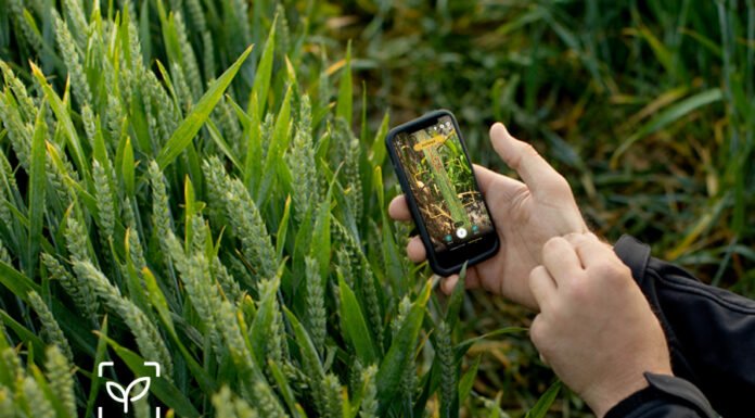 MagicScout ile Saniyeler İçinde Hastalık ve Yabancı Ot Tespiti MagicScout ile Saniyeler İcinde Hastalık ve Yabanci Ot Tespiti