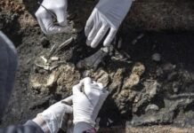 Haydarpaşa’da Yakılarak Gömülmüş Helenistik Mezar Bulundu haydarpasa kazilari mezar