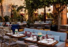 Bodrum’un Gözde Mekanı Fenix Yeni Dekorasyonuyla 2022 Yazına Merhaba Diyor Fenix Bodrum