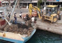 Deniz Dibinden 83 Metreküp Hayalet Ağ Çıkarıldı Deniz Dibinden 83 Metreküp Hayalet Ağ Çıkarıldı