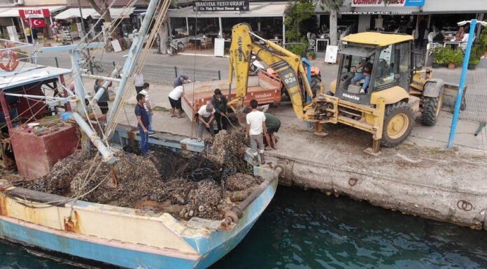 Deniz Dibinden 83 Metreküp Hayalet Ağ Çıkarıldı Deniz Dibinden 83 Metreküp Hayalet Ağ Çıkarıldı
