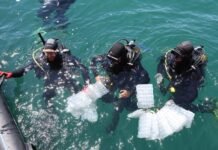 Çanakkale Üniversitesi Tarafından Yetiştirilen 300 Yavru Istakoz Dardanel İş Birliği İle Denizle Buluştu Çanakkale Üniversitesi tarafından yetiştirilen 300 yavru ıstakoz Dardanel