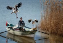 “Kadın Gözüyle Hayattan Kareler” Dijital Sergileri Fotoğrafseverler ile Buluşuyor “Kadın Gözüyle Hayattan Kareler”