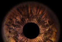 Taksim Sanat “Boşluk’ta Mevcut” Başlıklı Sergiye Ev Sahipliği Yapıyor Taksim Sanat “Boşluk’ta Mevcut” Başlıklı Sergiye Ev Sahipliği Yapıyor