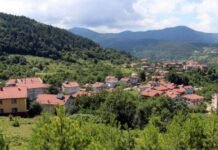 Kırsal Mahallede Yaşıyorsanız Emlak Vergisi Vermenize Gerek Yok Kırsal mahallede yaşıyorsanız emlak vergisi vermenize gerek yok