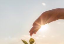 Divan Grubu, “Divan’dan Doğaya, Tohumdan Ağaca’’ dedi Divan Grubu, “Divan'dan Doğaya, Tohumdan Ağaca’’ dedi