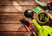 Sonbaharda Bahçe Bakımı Nasıl Yapılır? Sonbaharda bahçe bakımı nasıl yapılır?