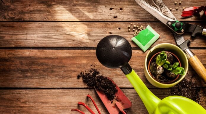 Sonbaharda Bahçe Bakımı Nasıl Yapılır? Sonbaharda bahçe bakımı nasıl yapılır?